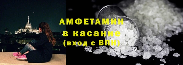 прущие грибы Вяземский