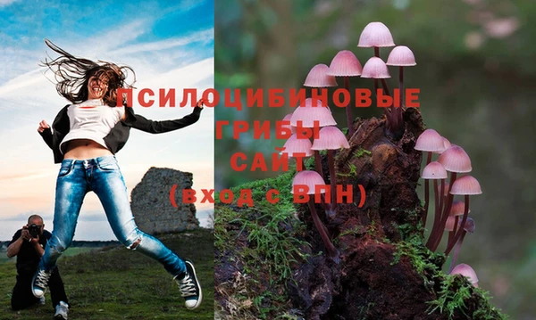 тгк Вязники