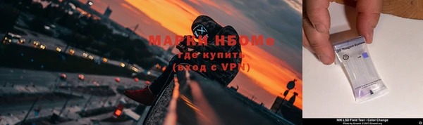 индика Бронницы