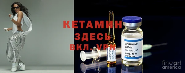прущие грибы Вяземский