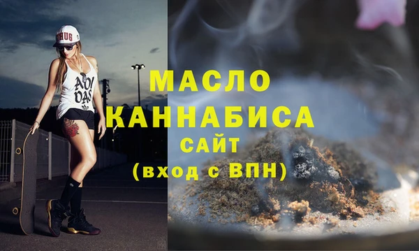 дживик Бородино